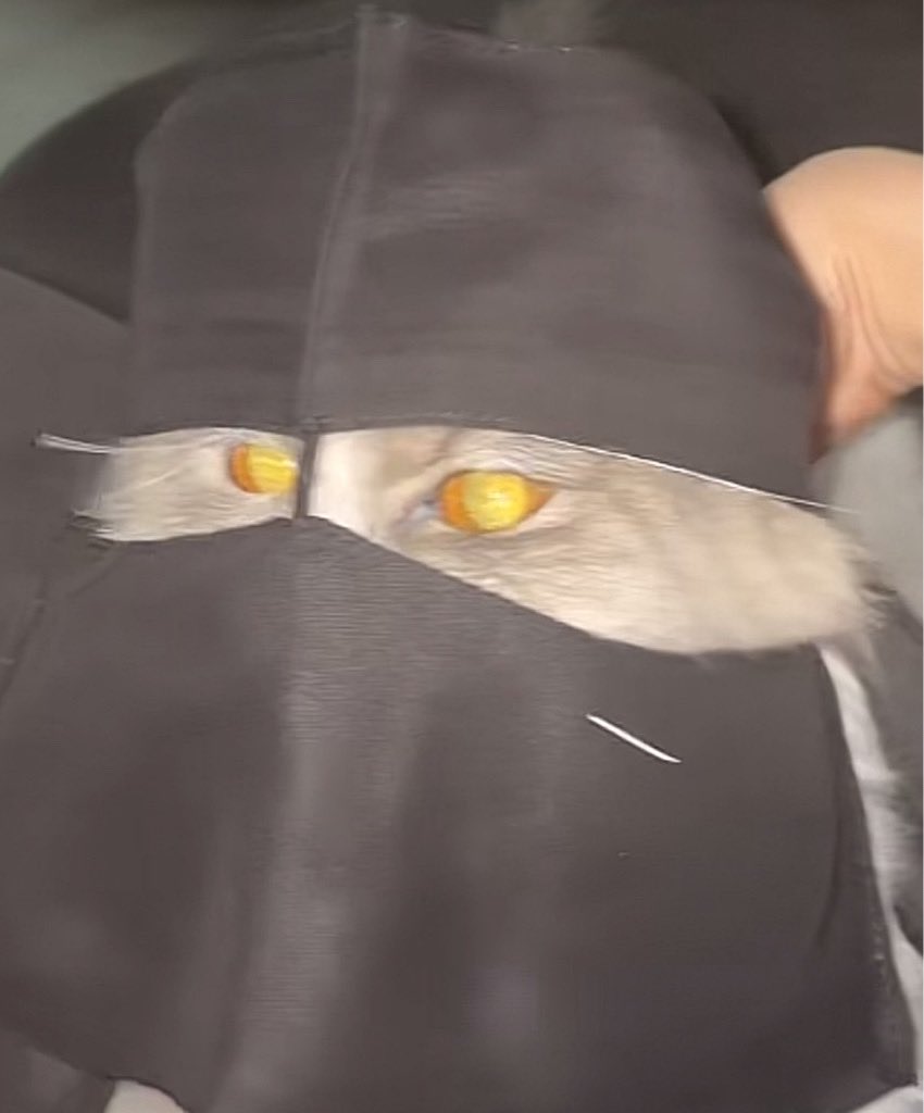 #النصر_الهلال
نفس العذر والله ثم والله لو انهم فازو ماتكلمو عن التحكيم ابداً هذي حكايه قديمه توارثتها الاجيال النصراويه بأننا مظلومين تحكيمياً م فيه عذر ثاني..