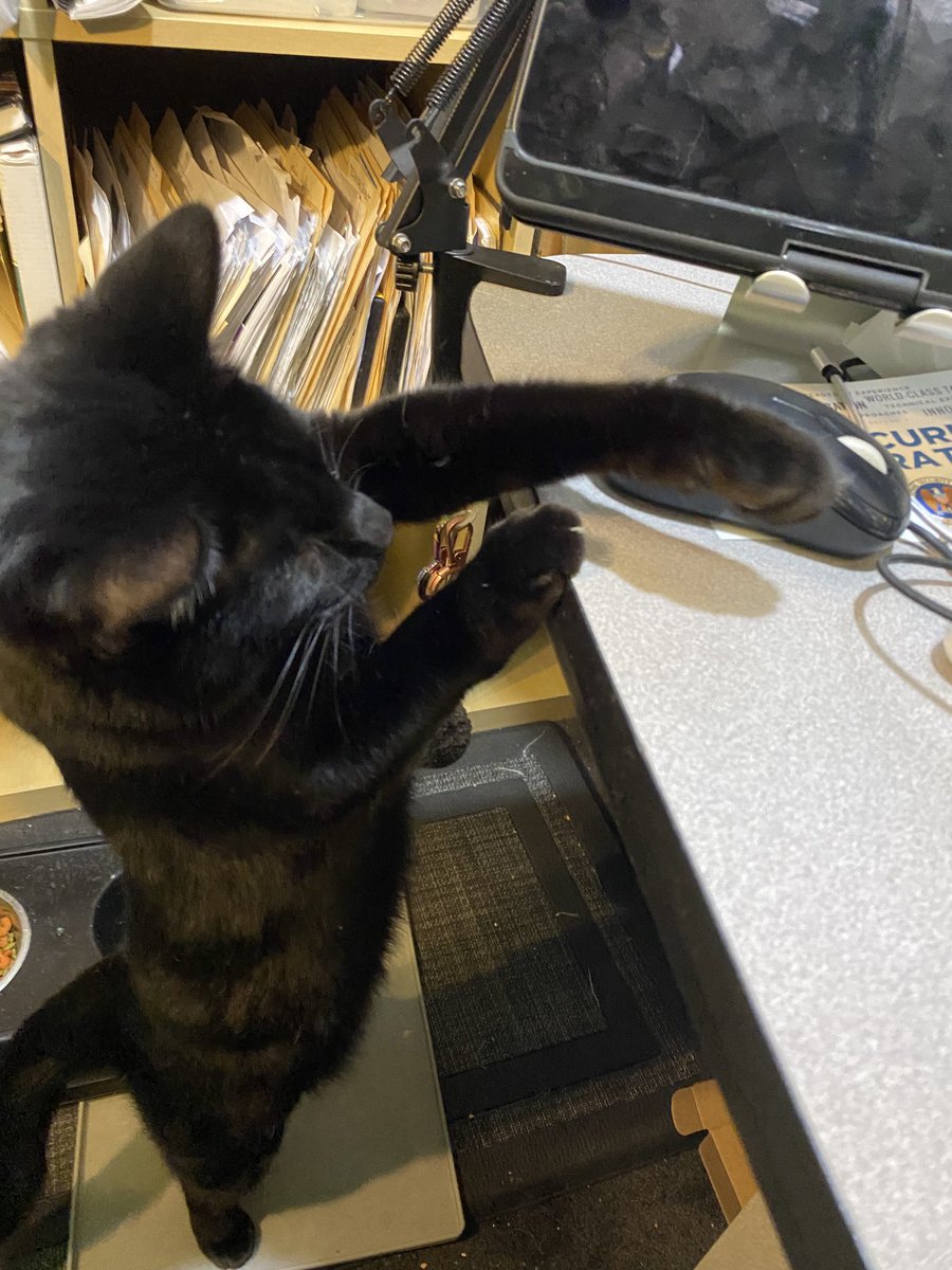 LoganLukeLloyd's tweet photo. Notice Lloyd trying to hack my computer https://t.co/5O1lJ6i8gW