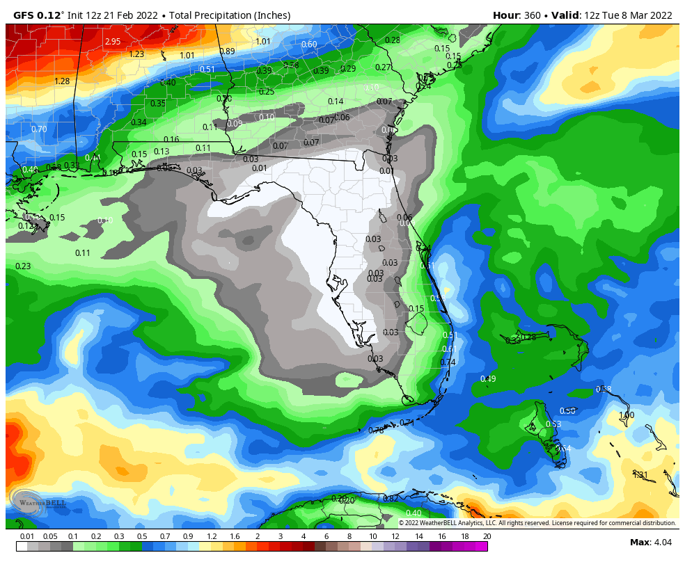 PaulFox13's tweet photo. Looooong stretch of little to no rain. GFS has us rain free thru March 7th. Oh, and pollen count will continue to soar. #springinFlorida https://t.co/OtCPrYAYVC