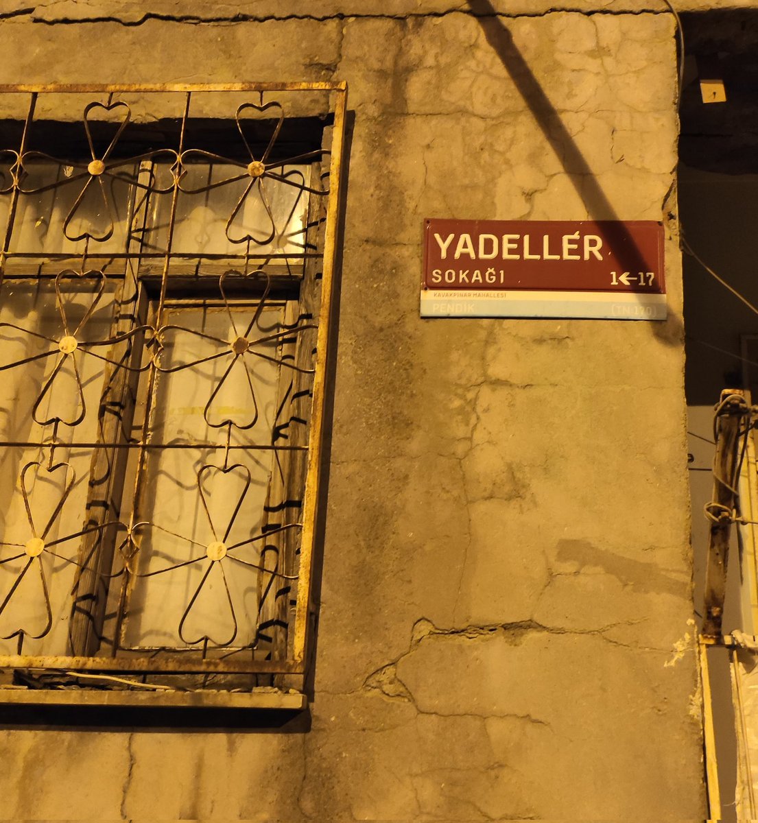 sen yadeller dünyasında ne arıyorsun yabancı