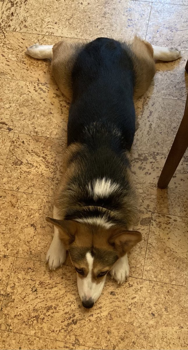 An amazing sploot!