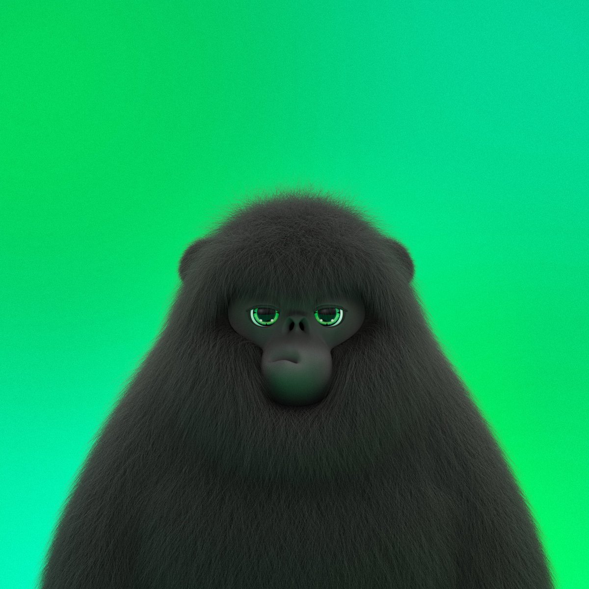 What do you think this Chonk is having for dinner?💚