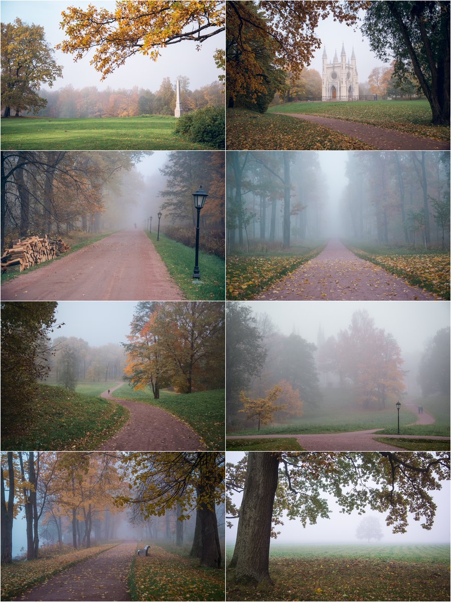 opensea.io/collection/ale… #NFTcollection #NFTphotography #NFTCommmunity Check out my new collection of photos. Follow the link, there are 30 items. Early autumn in Peterhof, Alexandria Park. Foggy landscapes. 0.025-0.05 ETH.
