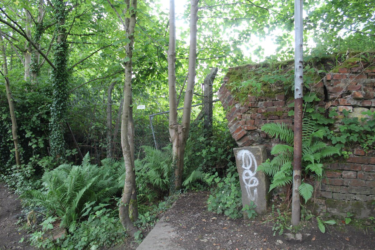 BridgesCanal's tweet photo. Remains of Pack Saddle Bridge No 31 + Clifton Aqueduct No 32 at the site of Fletcher's Canal .. Manchester Bolton &amp; Bury Canal .. @CRTNorthWest #Clifton #Manchester @CRTBoating @ThePhotoHour @CanalRiverTrust @CRTBill @MBBCanal  @MBBCanalGroup #Canal #Aqueduct #lifesbetterbywater https://t.co/Sl3GuJtH8P