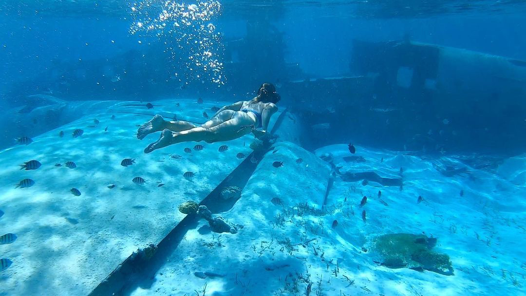 We dive not to escape life, but for life not to escape us!
Plan a day tour to dive at Thunderball Grotto. Fly &amp; play w/ <a href="/StanielAir/">Staniel Air & Exuma Adventures</a> 🐡🐟🤿✈️ 
#snorkel #scubadiving #snorkeling #thunderballgrotto #stanielcay #exumas #exumasbahamas #beach #itsbetterinthebahamas