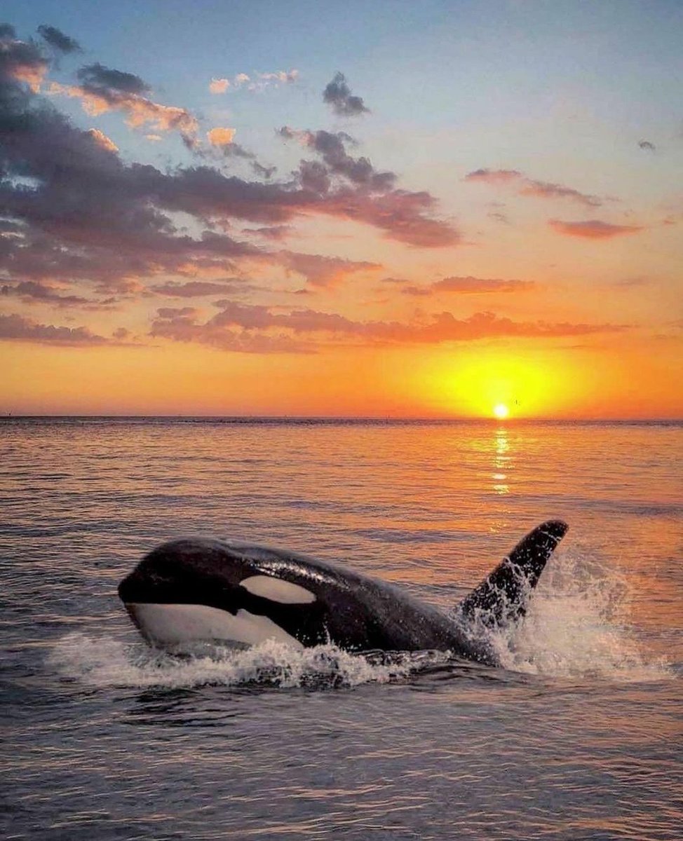 3D2023's tweet photo. A beautiful night everyone https://t.co/hWYmdgOEqd