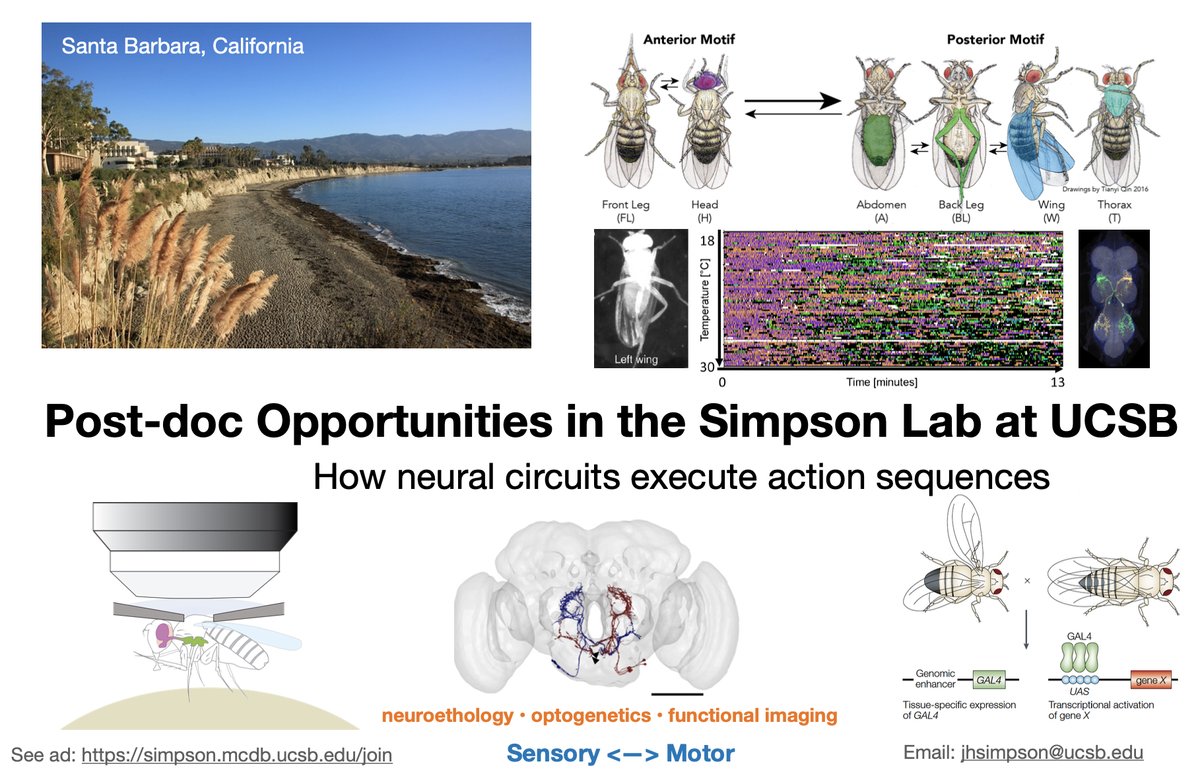 The Simpson lab is looking for new post-docs...