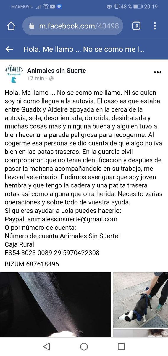 vero_hgarciia's tweet photo. Se ruega difusión y donaciones.

No cuesta más de un minuto compartir/retwitterar 💔 https://t.co/5tiUD5GjoF