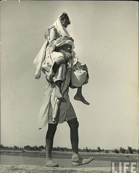 1947 :: Refugee Migrating During Partition of India