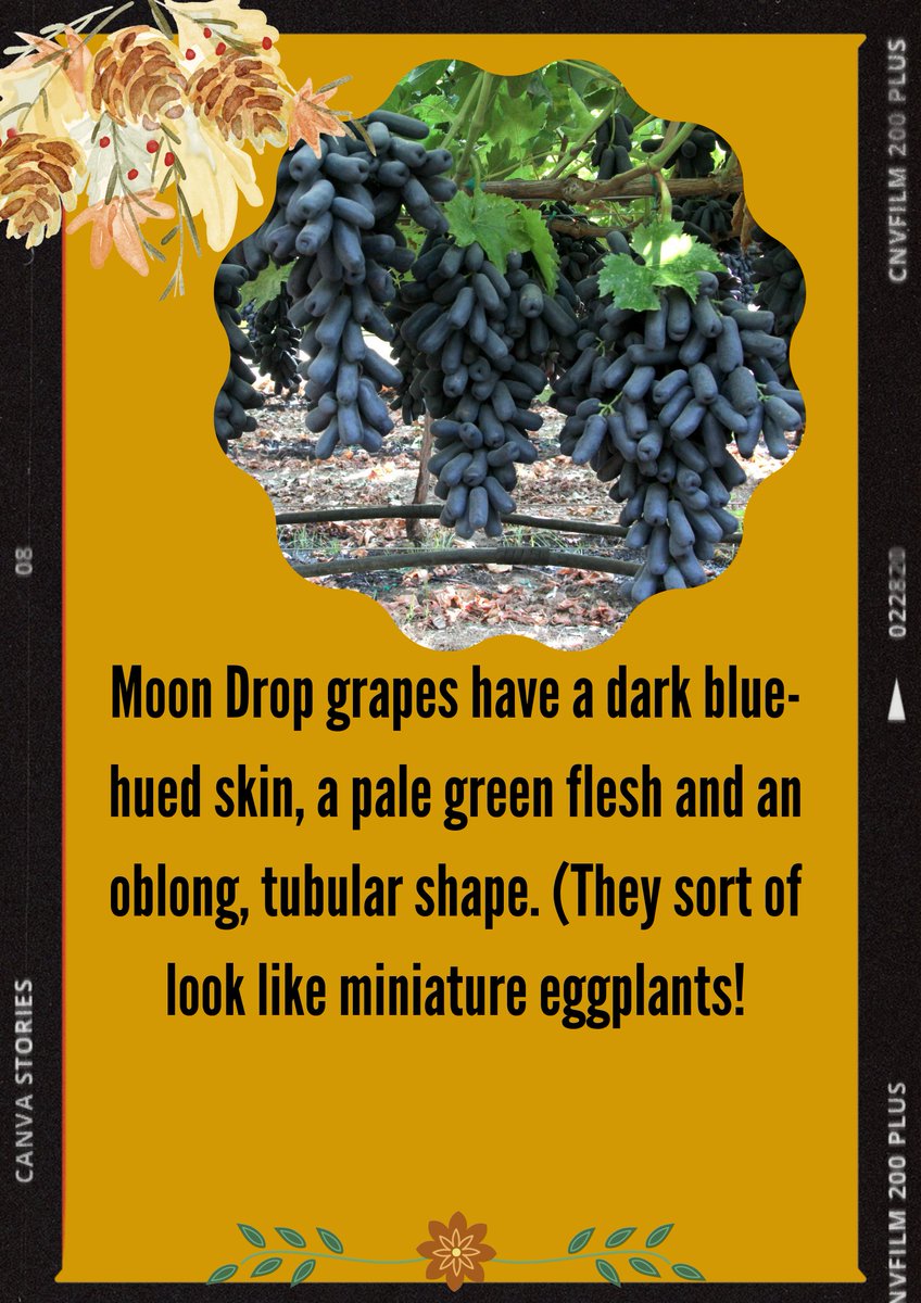 Chrisleeer_DragQueen (@chrislertorres) on Twitter photo 