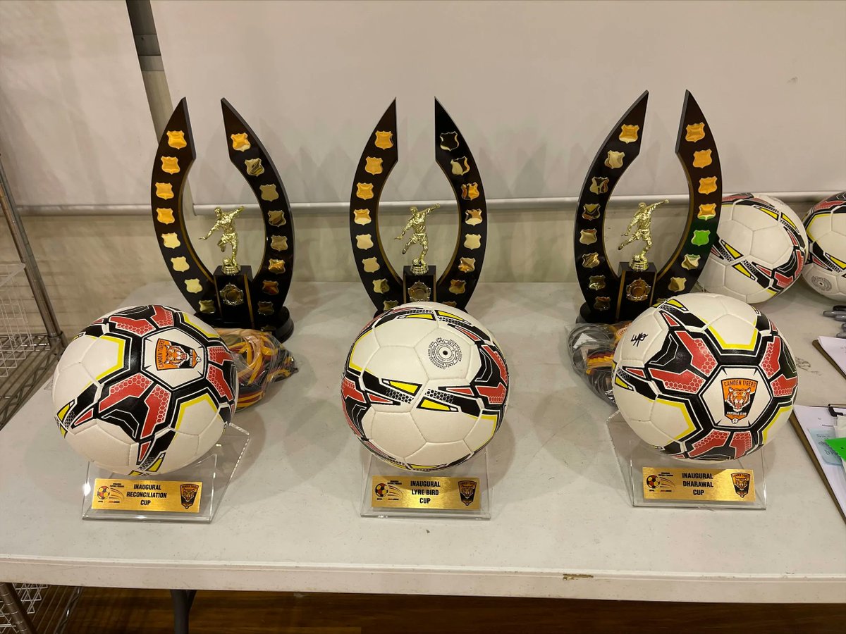 Huge Credit to everyone involved @nationalindigenousfootball and @CamdenTigers for putting on the Inaugural Dharawal Cup.

Some outstanding looking trophies going to some very worthy winners!

#Dharawalcup #NIFC #camden #trophies #custommade #australianculture