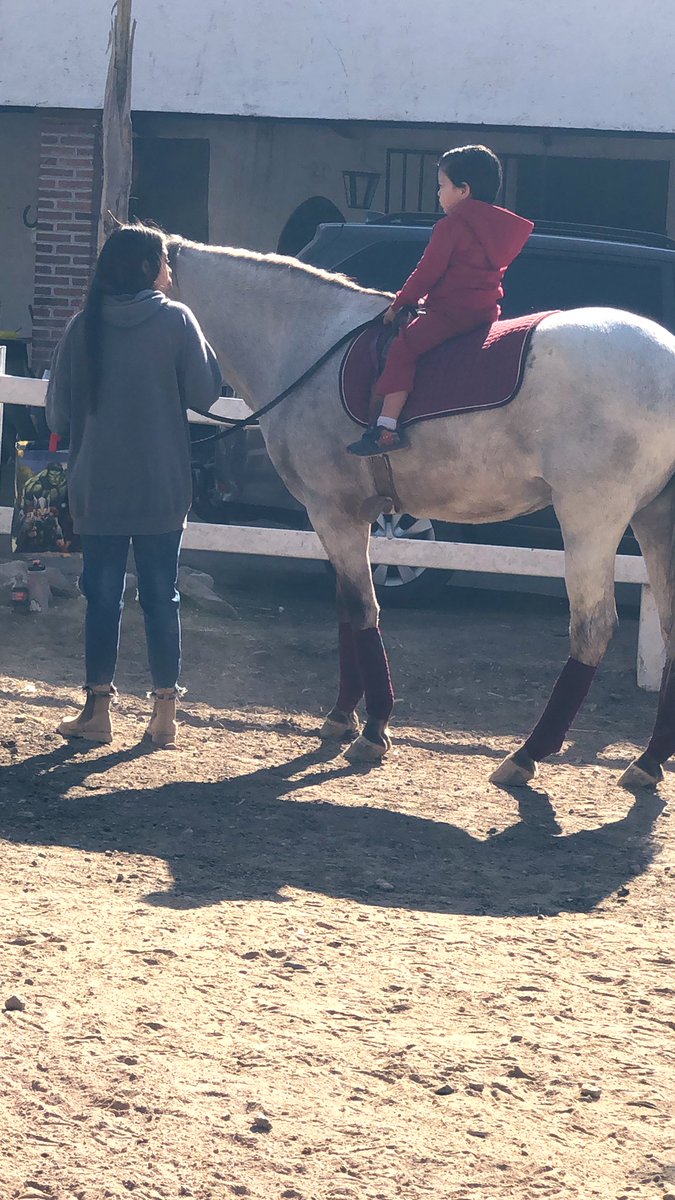 daniavelarb20's tweet photo. Y este amiguito pues ya dirige su caballo 💙ay vale la pena tanto esfuerzo económico y emocional #Autismo #Autismmom #inclusion #equinoterapia #Asperger #Aspergerboy #proudofyou https://t.co/YNGEWowwW6