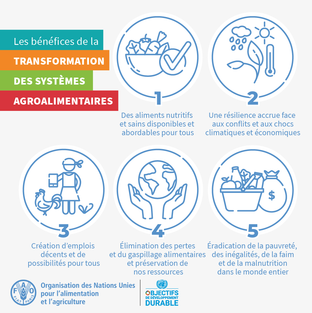 FAO en français tweet media