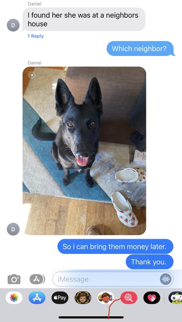 yarncircus's tweet photo. ‼️Nova has been Found‼️thank you all so much for your RT’s 😭❤️ https://t.co/H8kSRFzf3b