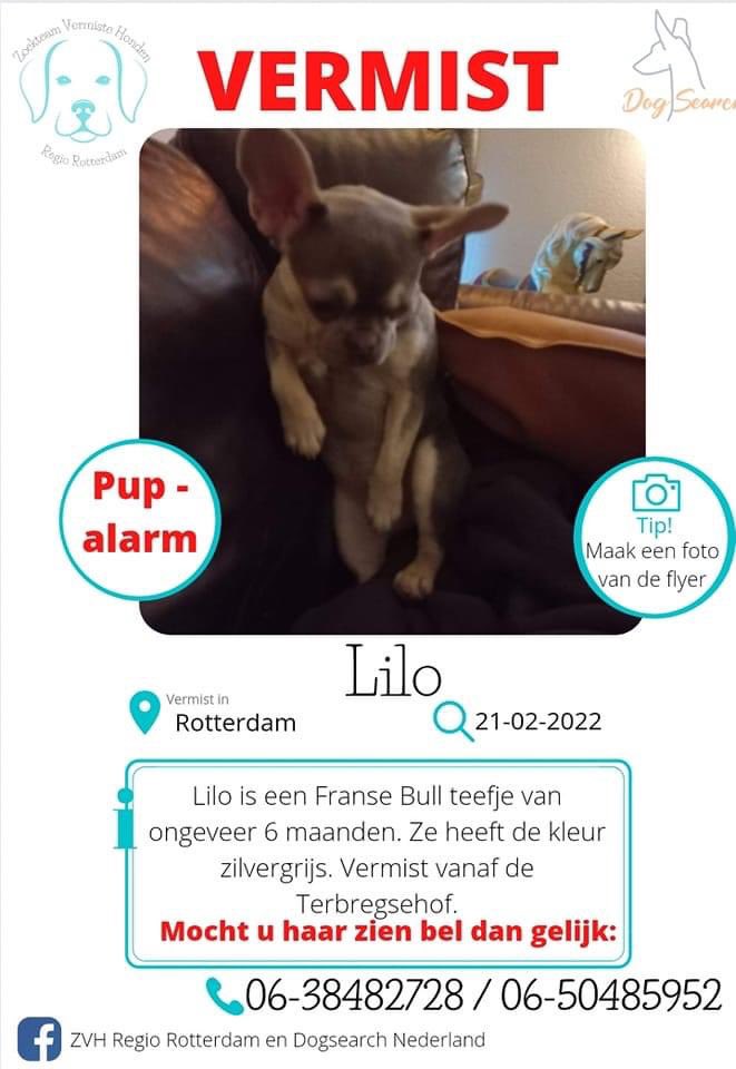Dogsearch Nederland tweet media