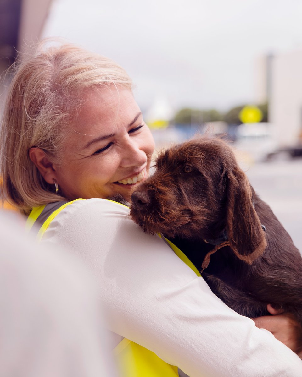 FlyAirNZ's tweet image. Here's some paw-fect news🐾We've made changes for our furry pals to make travelling NZ even more comfortable 🐶💜 More info: airnz.click/NZPets