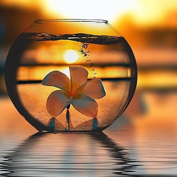 cheeky_cherry1's tweet photo. Every Sunset is one step closer to summer β
π§‘
#RollOnSummerTime https://t.co/4u9NLVbgMF
