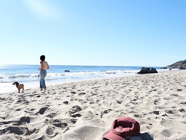 Sanvers Central tweet media