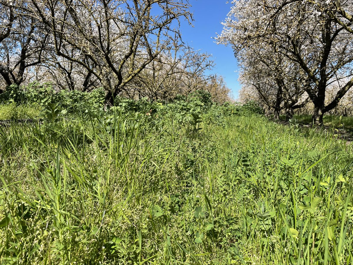 Jonathan Lundgren tweet media