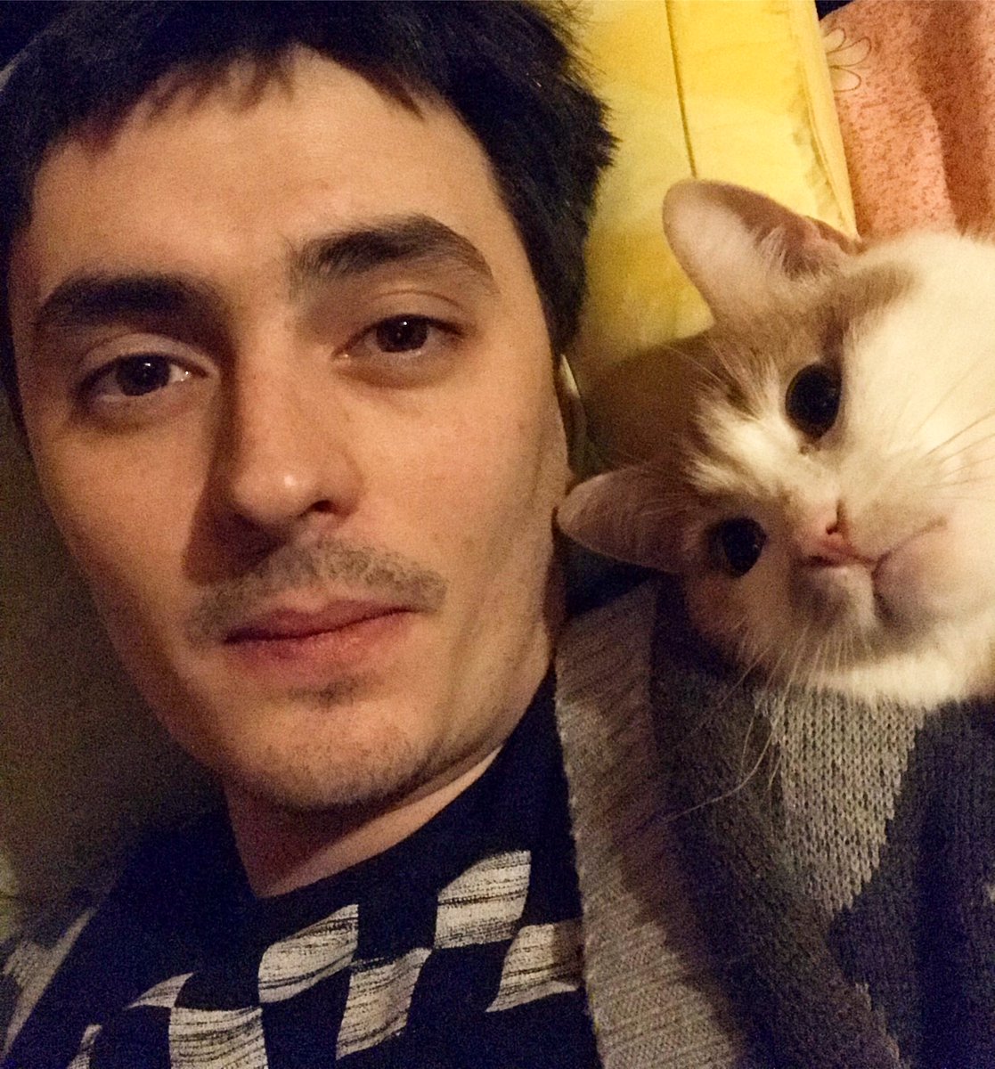 xSPOYLERx's tweet photo. Контролирует просматриваемый мною контент 🐱🐈 #кот #котофей #друг #родной #преданный #лучший #членсемьи #персик #котокот #близкий #дом #доммилыйдом #сокровище #миникот #котики #коты #котэ #мегакот #cat #friend #bestfriend #pression #minicat #family #loyal #faithful #true #cats https://t.co/uX3lWWAIUU
