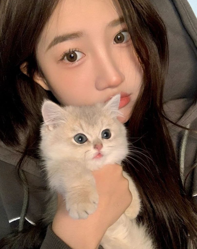 luna45781's tweet photo. https://t.co/RQqMFetiKR