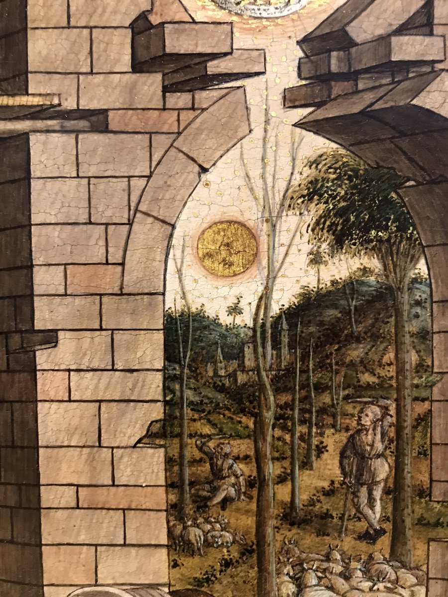 Caroline Campbell tweet media