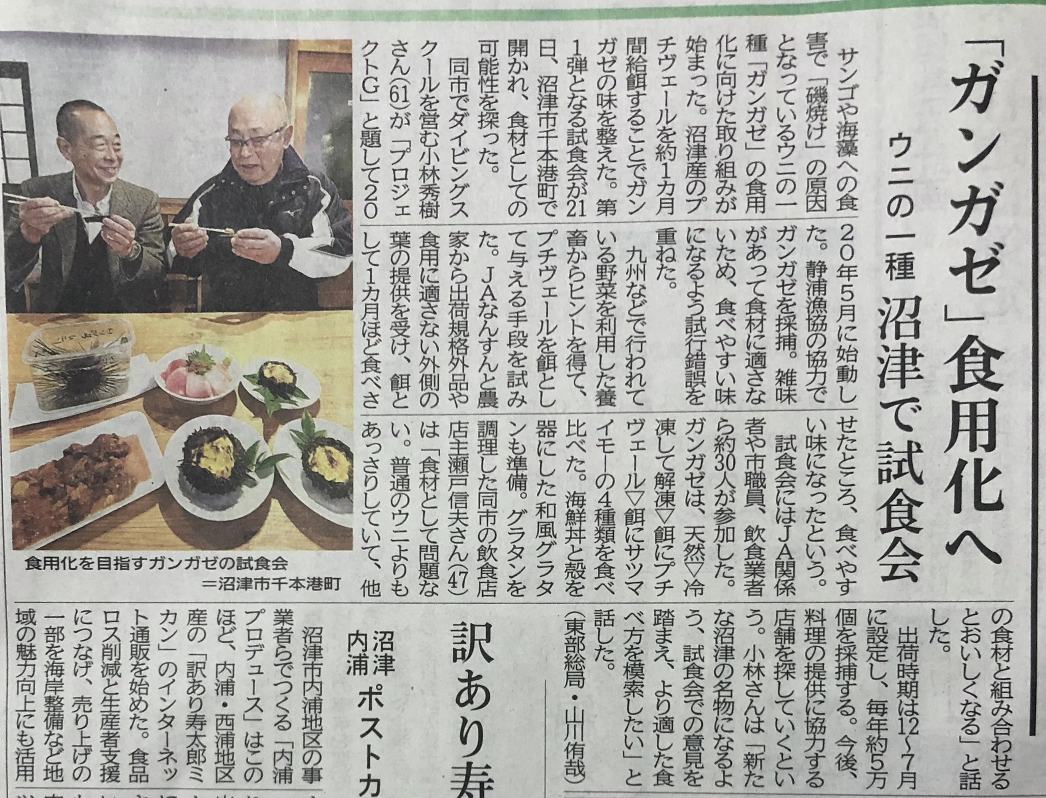 あさぎり 今朝の静岡新聞よりウニの一種 ガンガゼ 食用化への取り組みの話題 長い棘のあるウニ 皆さまも一度は見たことあるのでは 新たな沼津の名物となるよう 今後が楽しみです T Co Lzhwcaq4hu Twitter