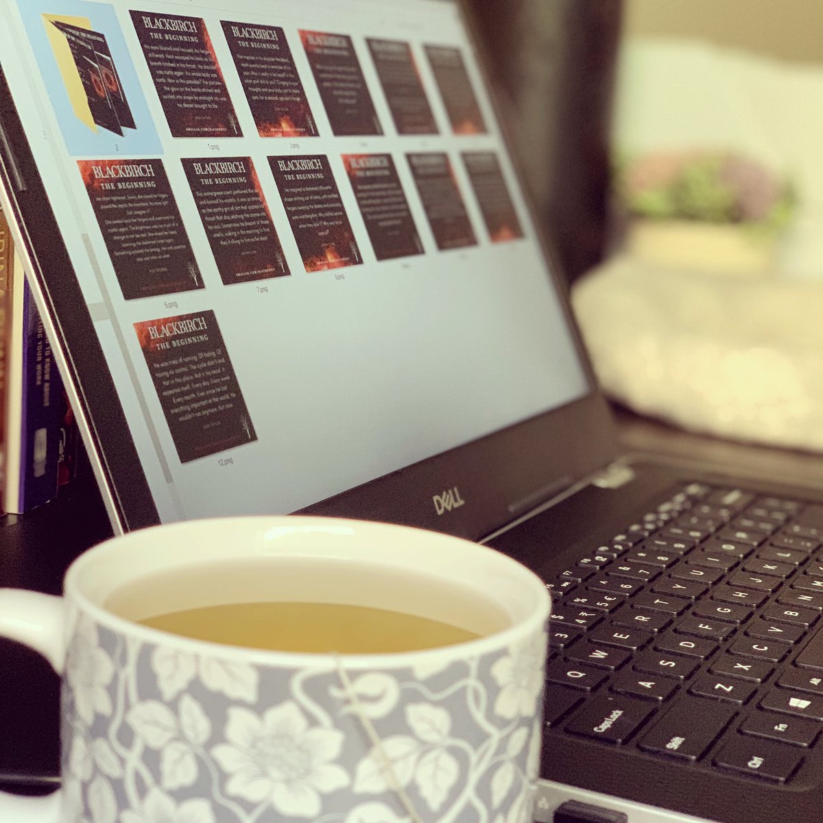 KMAllan_writer's tweet photo. The last full week of Feb (😱) for me is an #AuthoringWeek. I’ve got #blogs, #reading, reviews, & book promo to do, & #Blackbirch 3 edits if I can squeeze them in 🤞🏻. How about you? What are your #goals?
…
#writingcommunity #writerslife #writersdesk #writinggoals #weeklyplan https://t.co/ePxpXKpUgu