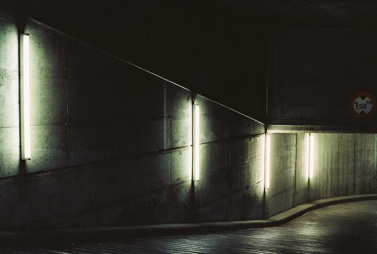 Archillect (@archillect) on Twitter photo 