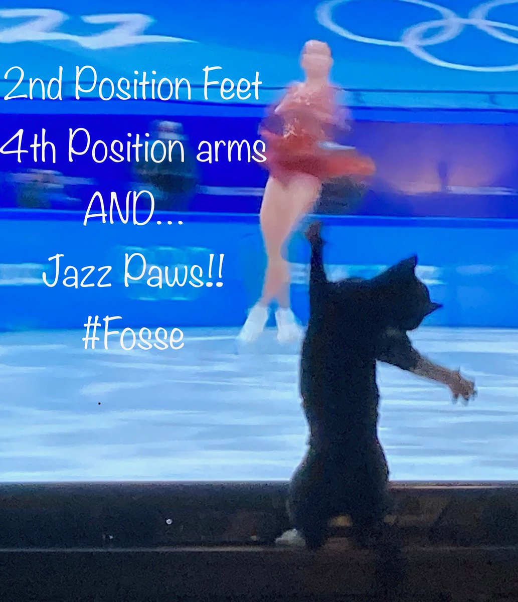 KRAssoc's tweet photo. Kitty enjoying the Olympics. https://t.co/OlVqTvfYej