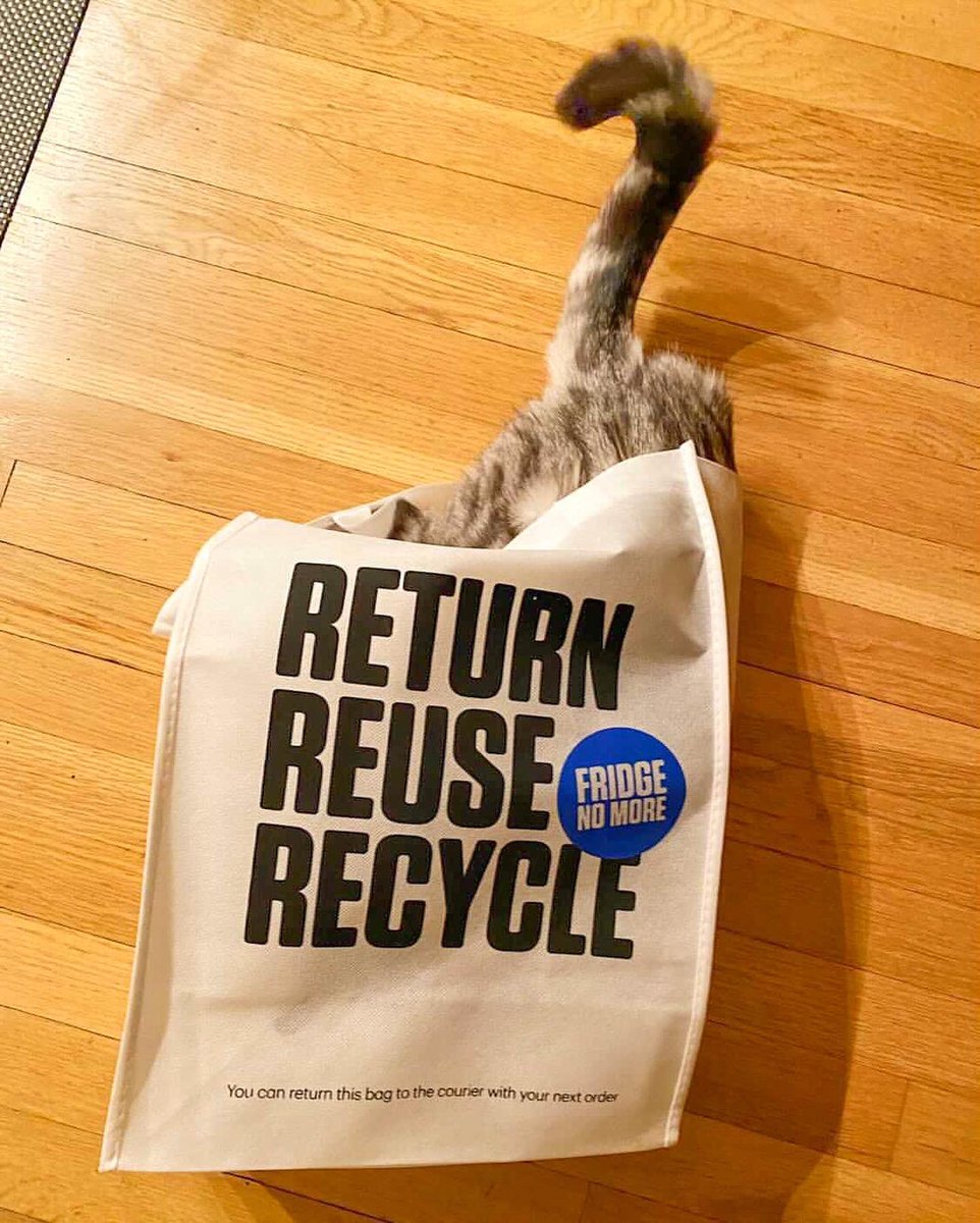 Cat’s out of the bag. Pets love us too.