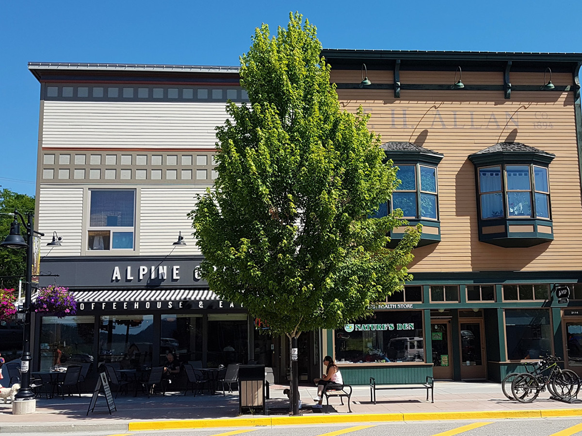 citygreensystem's tweet photo. Case Study - https://t.co/ptlOxlVngx 
Not many things can offer the aesthetic appeal, seasonal interest AND economic benefits that trees do in the urban setting. These trees were planted 6 years ago in the #Stratacell root system, in Rossland, BC and couldn't look healthier! https://t.co/RljvHa3LMP