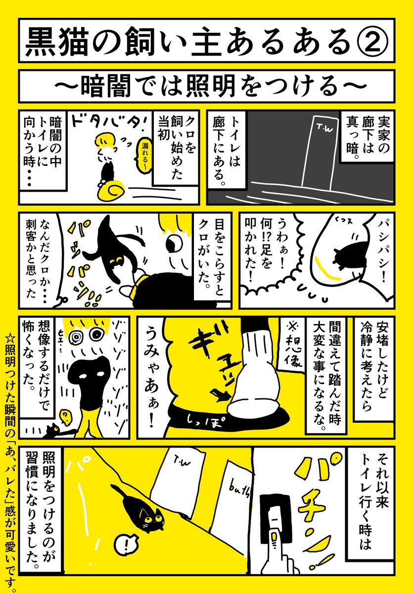 黒猫の飼い主あるある #猫の日 #にゃんにゃんにゃんの日 #スーパー猫の日 
