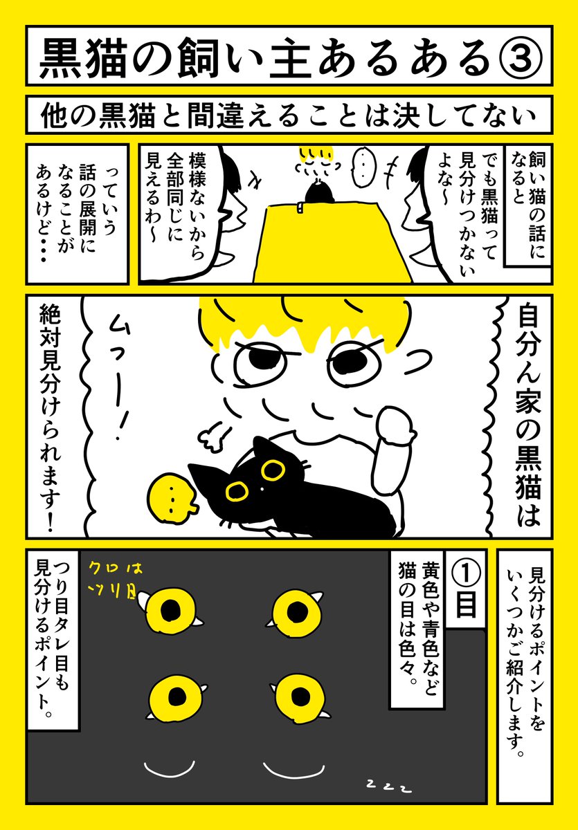 黒猫の飼い主あるある #猫の日 #にゃんにゃんにゃんの日 #スーパー猫の日 