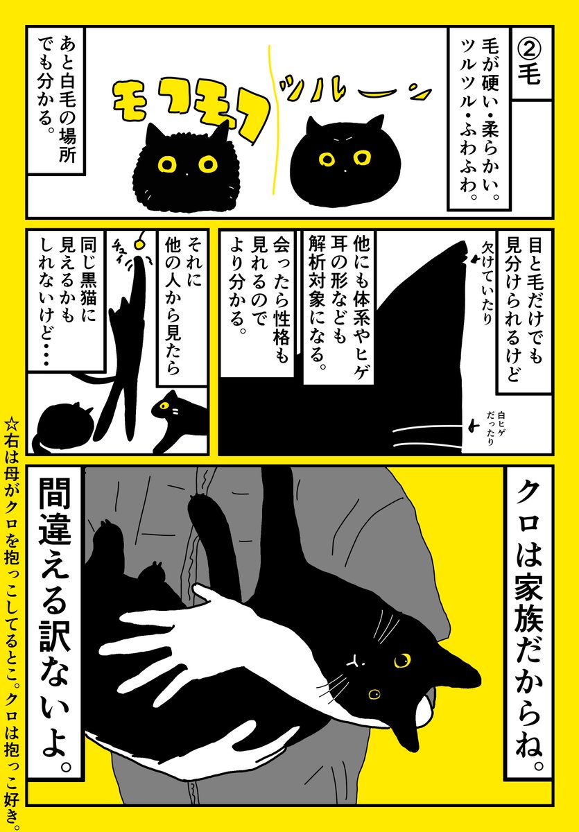 黒猫の飼い主あるある #猫の日 #にゃんにゃんにゃんの日 #スーパー猫の日 