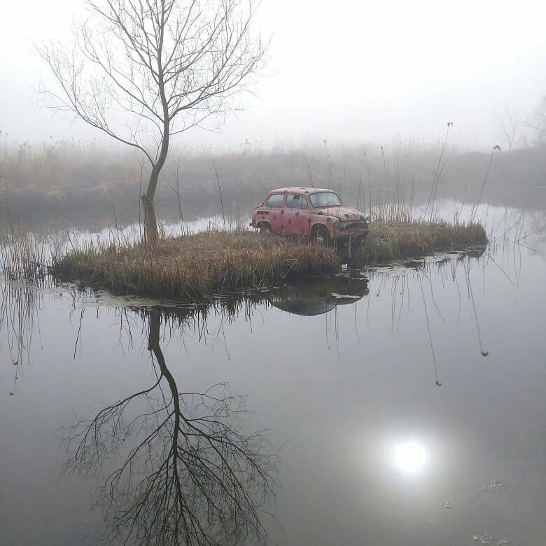 GeniusPanda's tweet photo. Our vanishing presence. https://t.co/PXuDSo8V5V