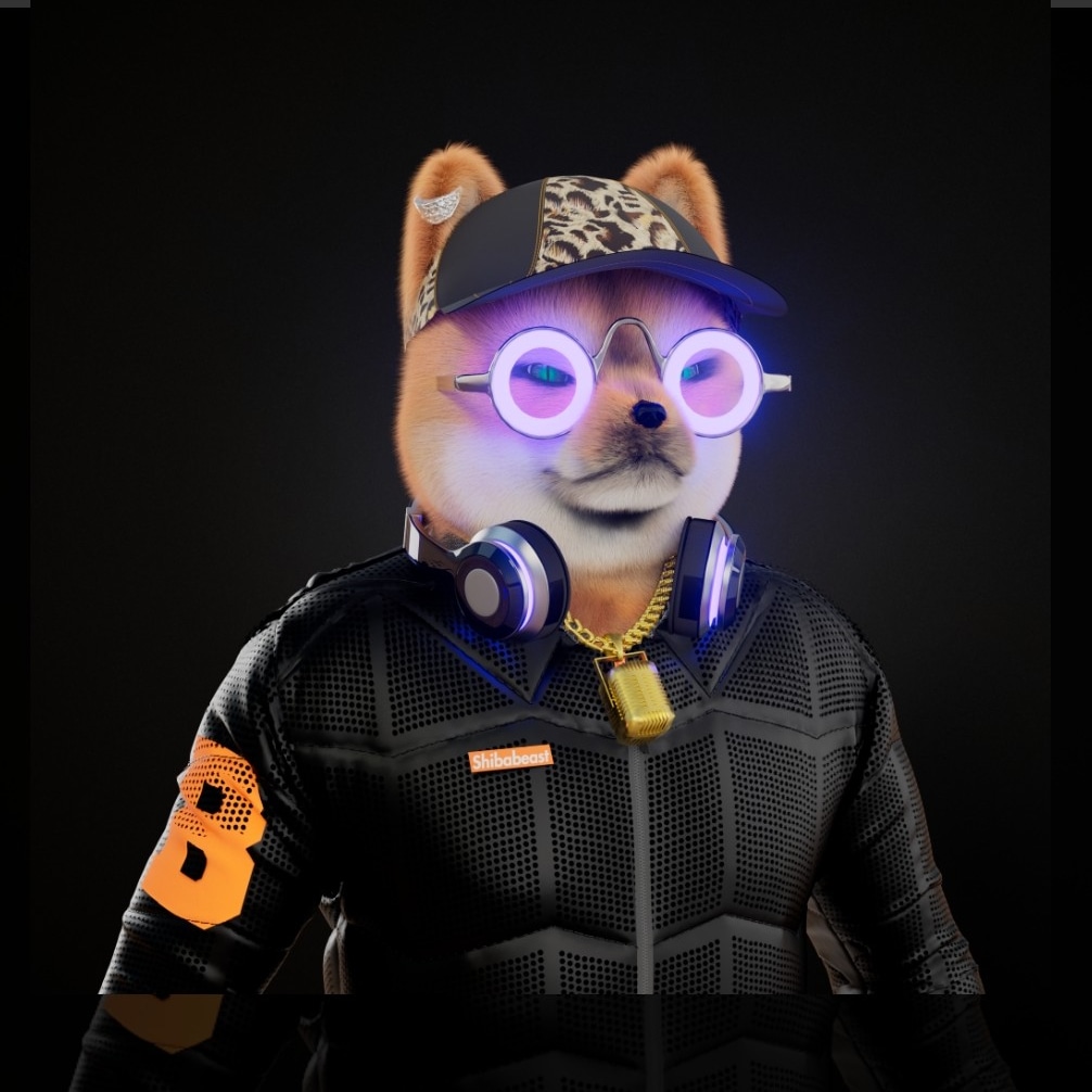 VItorbaca's tweet photo. @ShibaBeast_nft @NFTinitcom I'm so happy with my 139 rank @ShibaBeast_nft 
Lets go BEASTS! https://t.co/TTNqUrGDp4