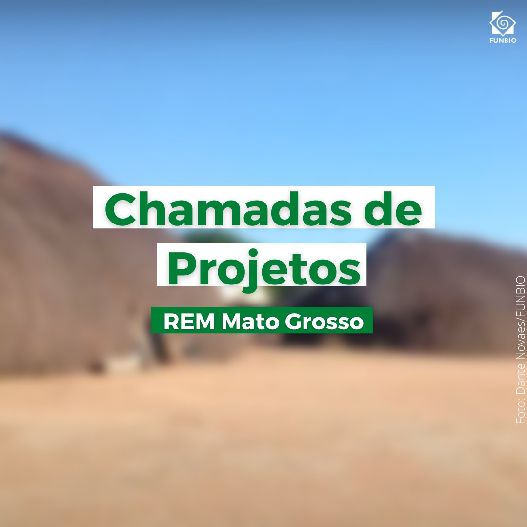funbio's tweet photo. O Programa REM MT está com 2 chamadas de projetos abertas para contemplar organizações indígenas e suas parceiras cujas iniciativas contribuam para os objetivos do projeto e para melhorias para os povos originários do estado. Saiba mais em https://t.co/PNza0lcIBU. #funbio https://t.co/mL2evPW6Ye