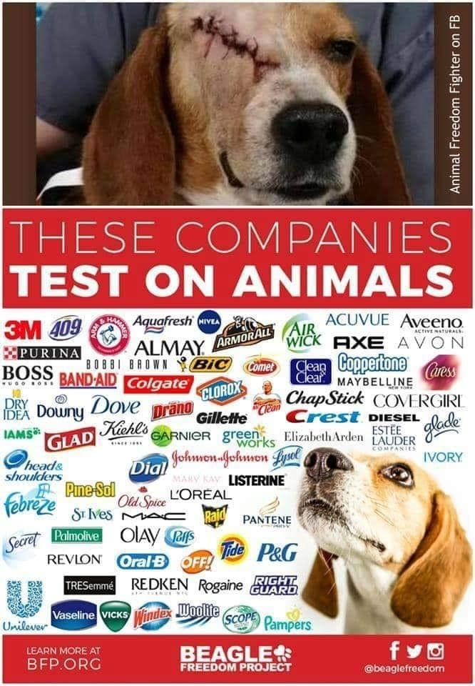 Acuvue on Twitter: Acuvue on Twitter: