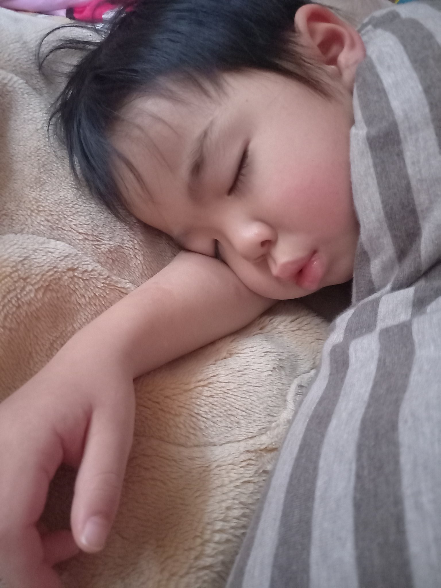 子どもの寝顔 Twitter Search Twitter