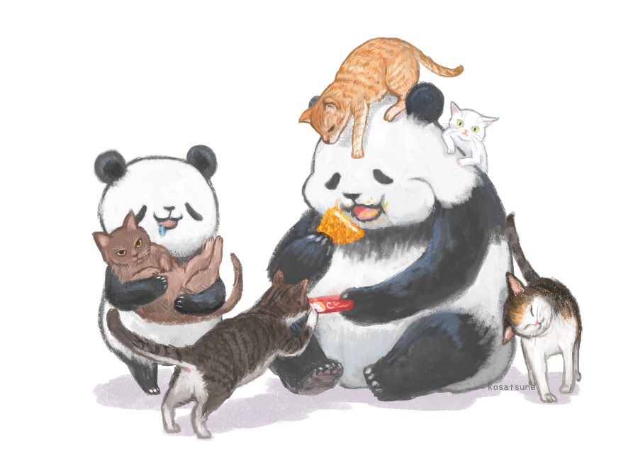 cat no humans panda animal eating white background animal focus  illustration images