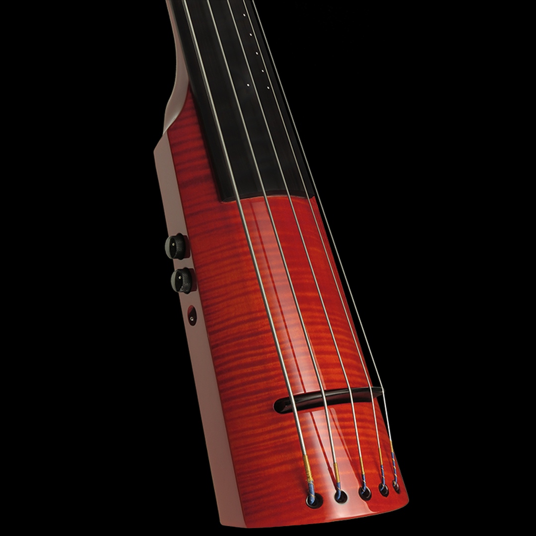 The WAV Series EUB brings unprecedented affordability to the player interested in world-class design, craftsmanship and performance capability.

thinkNS.com

#ThinkNS #NSDesign #nedsteinberger #electricviolin  #Electriccello #ElectricUpright #OmniBass  #electricbass