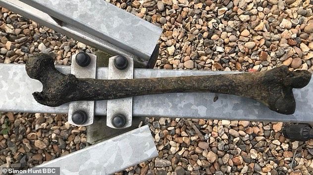 TheNorskaPaul's tweet photo. Rower finds 5,000-year-old human bone dating back to the end of the #StoneAge along #RiverThames ๐ณ
#SimonHunt was rowing along the river when he spotted it & #MuseumofLondon displaying it. https://t.co/QmdZbB2Q3O