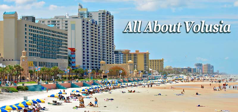 Catalyst Tester tweet media