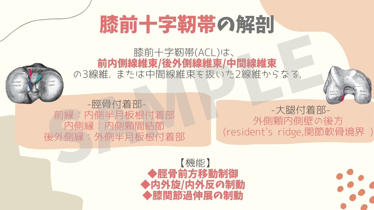 廣瀬 K H41 Twitter 廣瀬 K H41 Twitter