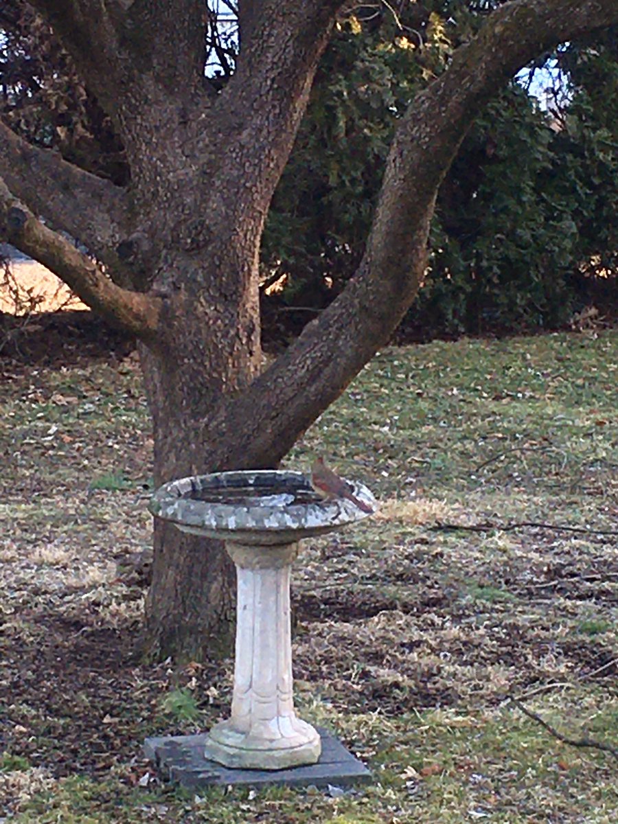 BigBlueBobC's tweet image. #springofdeception