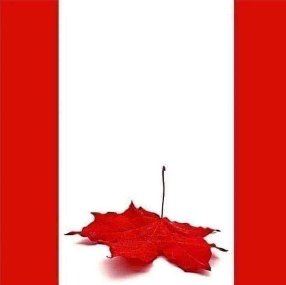 HaydukJessica's tweet photo. #VoteNo to stand up against the egregious actions of our government and shut down the emergencies act. THERE IS NO EMERGENCY!!! https://t.co/dPSWum1VHO