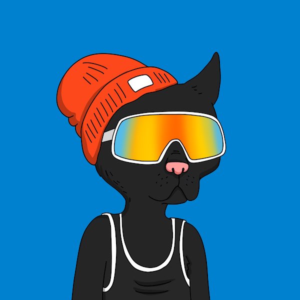 calbear98sf's tweet photo. @GutterCatGang @PUMA Gang gang https://t.co/laEThOFyNu