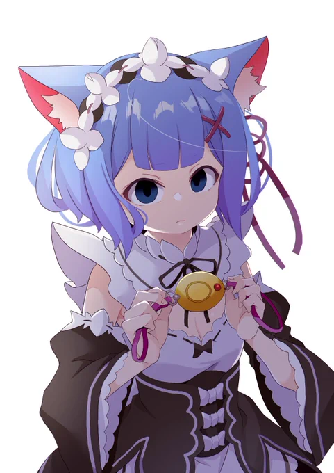 #猫の日 