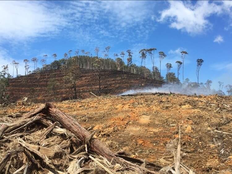 merri_forests's tweet photo. “Once the forest was gone, the soil lay bare against winds, sun and rain…As the soil was washed off, all goodness disappeared and ‘thus the earth is rendered no longer fit for the habitation of man’”

@andrea_wulf on the wisdom of George Perkins Marsh, 1864.

Take note Vic Labor https://t.co/Ylg97QZhyr